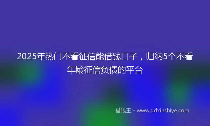 2025年热门不看征信能借钱口子，归纳5个不看年龄征信负债的平台