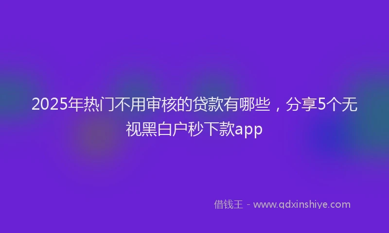 2025年热门不用审核的贷款有哪些，分享5个无视黑白户秒下款app