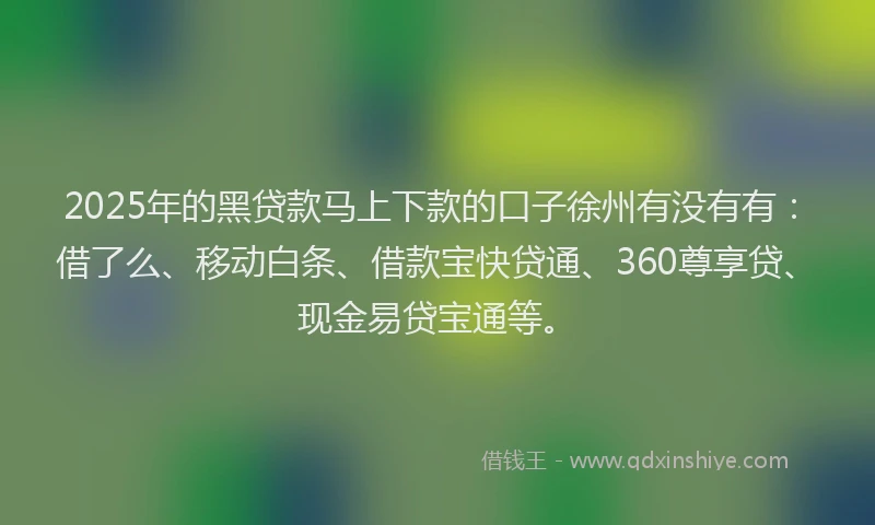 2025年的黑贷款马上下款的口子徐州有没有有：借了么、移动白条、借款宝快贷通、360尊享贷、现金易贷宝通等。