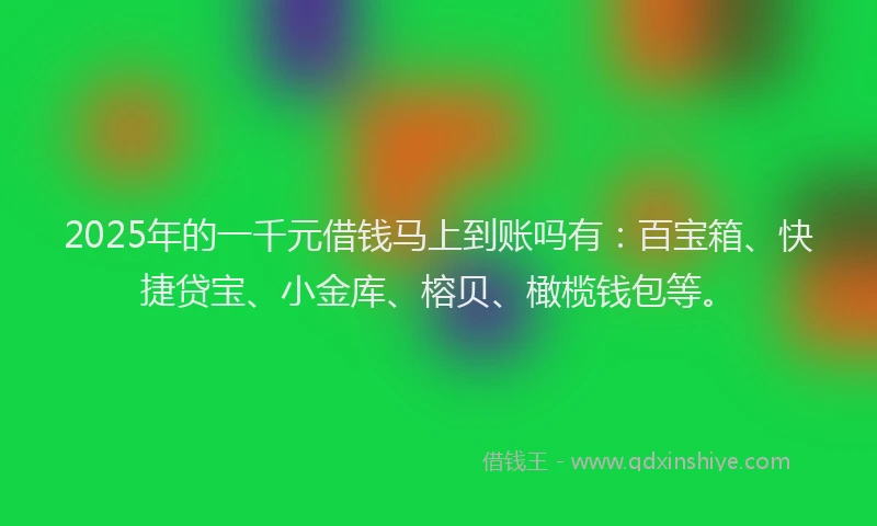2025年的一千元借钱马上到账吗有:百宝箱、快捷贷宝、小金库、榕贝、橄榄钱包等。