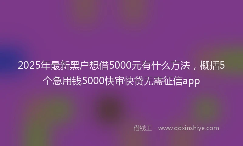 2025年最新黑户想借5000元有什么方法，概括5个急用钱5000快审快贷无需征信app