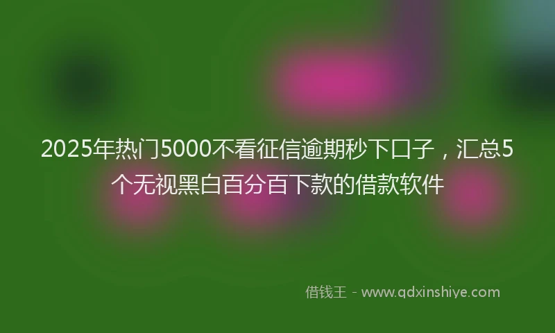 2025年热门5000不看征信逾期秒下口子，汇总5个无视黑白百分百下款的借款软件