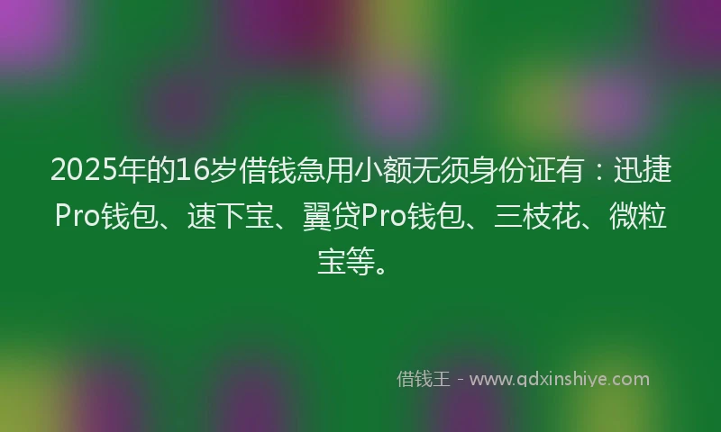 2025年的16岁借钱急用小额无须身份证有：迅捷Pro钱包、速下宝、翼贷Pro钱包、三枝花、微粒宝等。