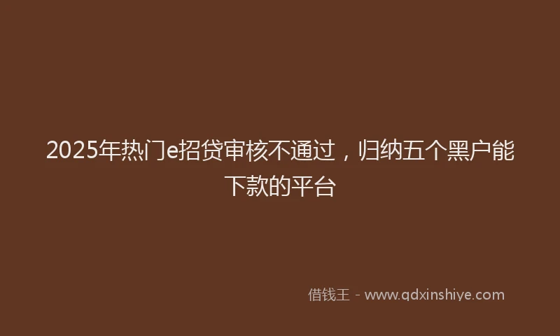 2025年热门e招贷审核不通过，归纳五个黑户能下款的平台