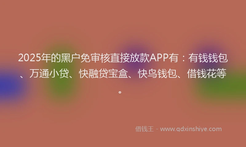 2025年的黑户免审核直接放款APP有：有钱钱包、万通小贷、快融贷宝盒、快鸟钱包、借钱花等。