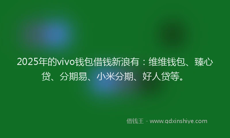 2025年的vivo钱包借钱新浪有：维维钱包、臻心贷、分期易、小米分期、好人贷等。