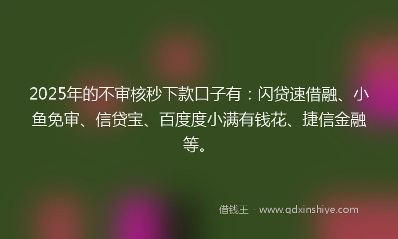 2025年的不审核秒下款口子有：闪贷速借融、小鱼免审、信贷宝、百度度小满有钱花、捷信金融等。