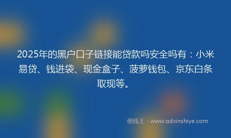 2025年的黑户口子链接能贷款吗安全吗有：小米易贷、钱进袋、现金盒子、菠萝钱包、京东白条取现等。