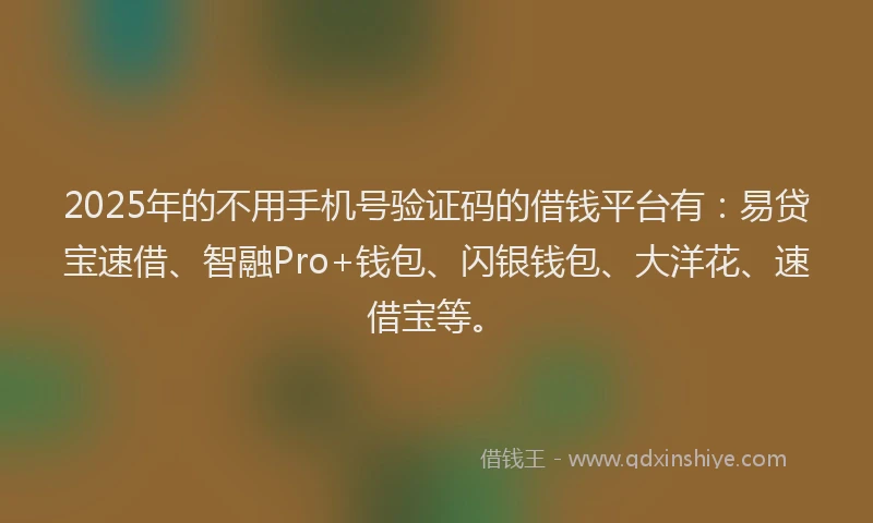 2025年的不用手机号验证码的借钱平台有：易贷宝速借、智融Pro+钱包、闪银钱包、大洋花、速借宝等。