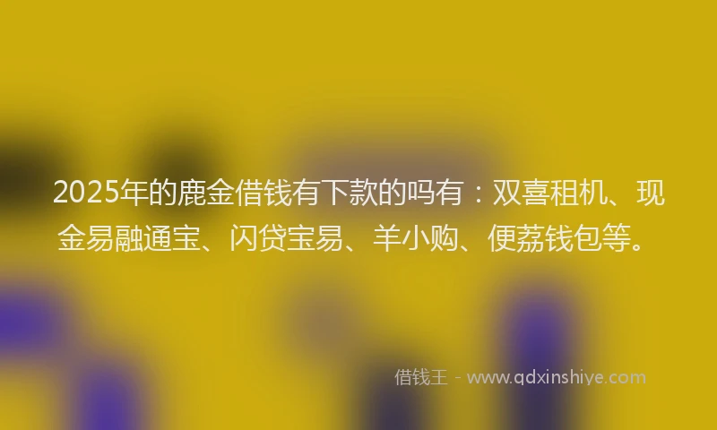2025年的鹿金借钱有下款的吗有：双喜租机、现金易融通宝、闪贷宝易、羊小购、便荔钱包等。