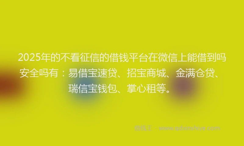 2025年的不看征信的借钱平台在微信上能借到吗安全吗有：易借宝速贷、招宝商城、金满仓贷、瑞信宝钱包、掌心租等。