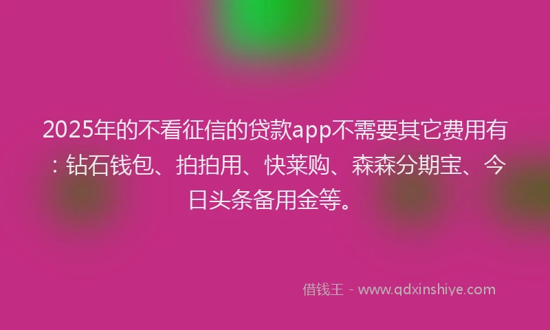 2025年的不看征信的贷款app不需要其它费用有：钻石钱包、拍拍用、快莱购、森森分期宝、今日头条备用金等。