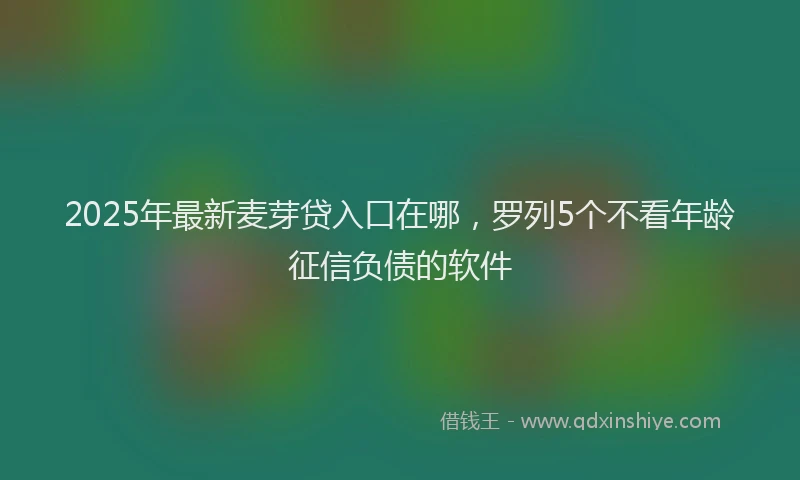 2025年最新麦芽贷入口在哪，罗列5个不看年龄征信负债的软件