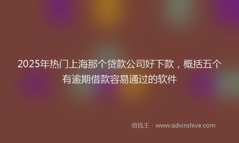2025年热门上海那个贷款公司好下款，概括五个有逾期借款容易通过的软件