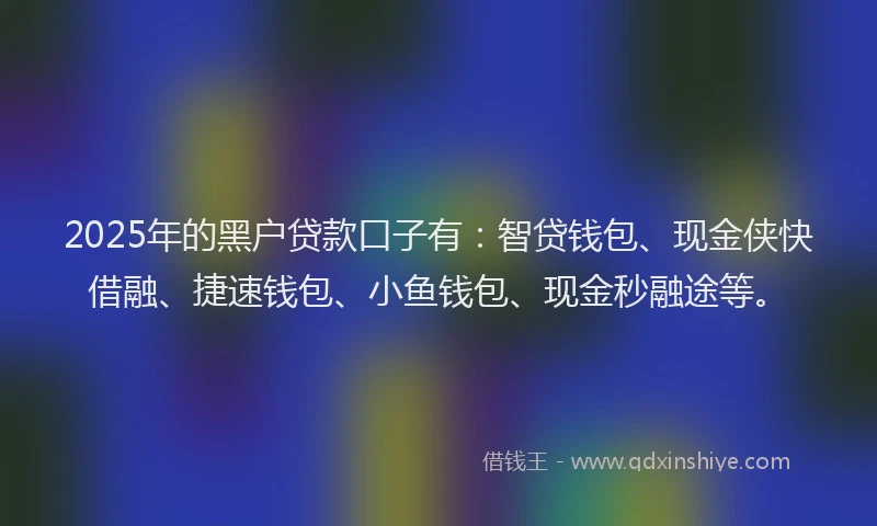 2025年的黑户贷款口子有：智贷钱包、现金侠快借融、捷速钱包、小鱼钱包、现金秒融途等。