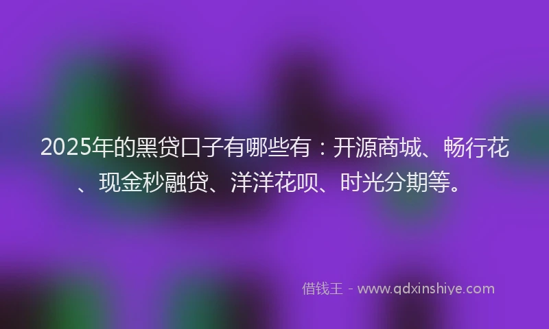 2025年的黑贷口子有哪些有：开源商城、畅行花、现金秒融贷、洋洋花呗、时光分期等。