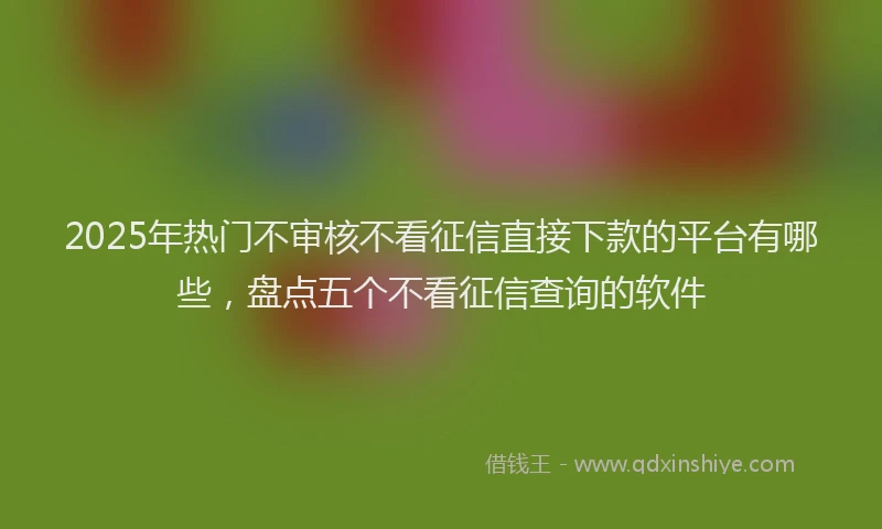 2025年热门不审核不看征信直接下款的平台有哪些，盘点五个不看征信查询的软件