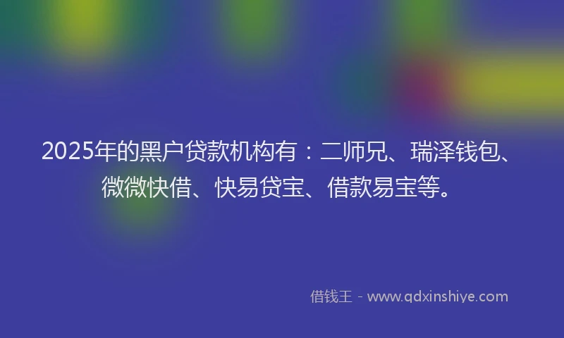 2025年的黑户贷款机构有：二师兄、瑞泽钱包、微微快借、快易贷宝、借款易宝等。