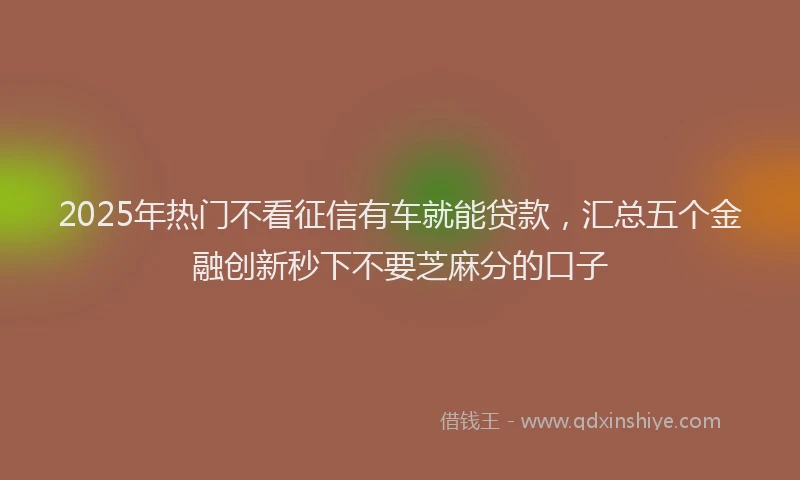 2025年热门不看征信有车就能贷款，汇总五个金融创新秒下不要芝麻分的口子