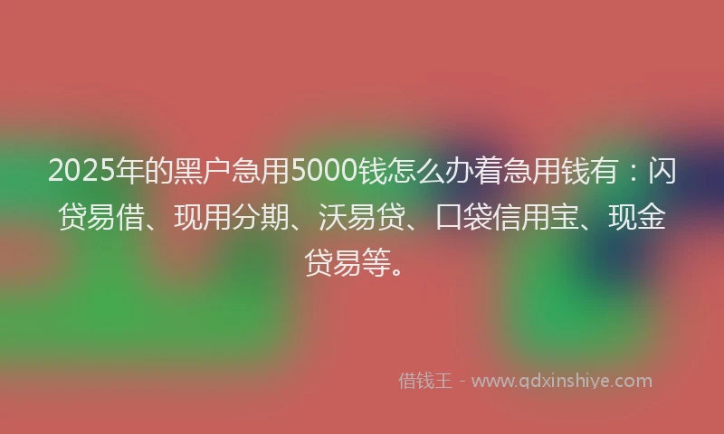 2025年的黑户急用5000钱怎么办着急用钱有：闪贷易借、现用分期、沃易贷、口袋信用宝、现金贷易等。