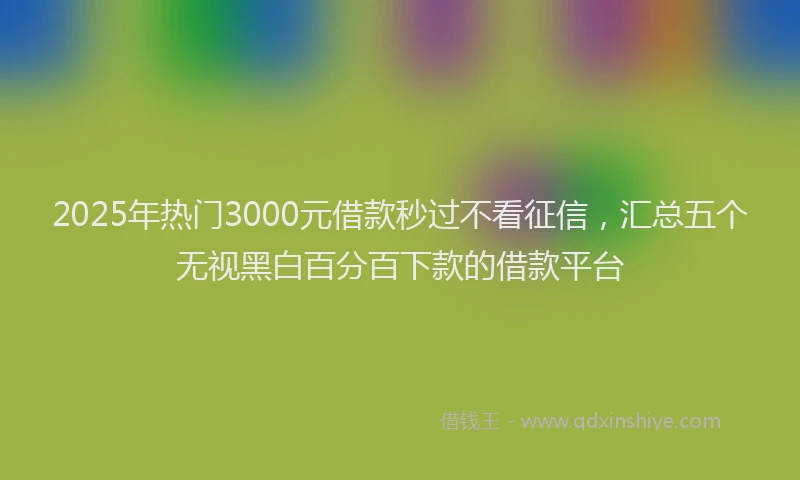 2025年热门3000元借款秒过不看征信，汇总五个无视黑白百分百下款的借款平台