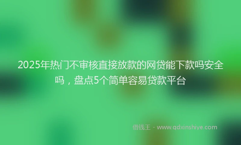 2025年热门不审核直接放款的网贷能下款吗安全吗，盘点5个简单容易贷款平台
