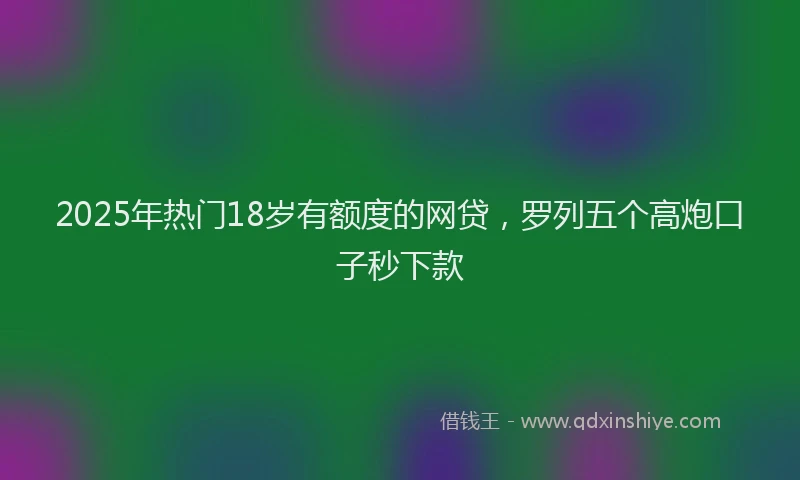 2025年热门18岁有额度的网贷，罗列五个高炮口子秒下款