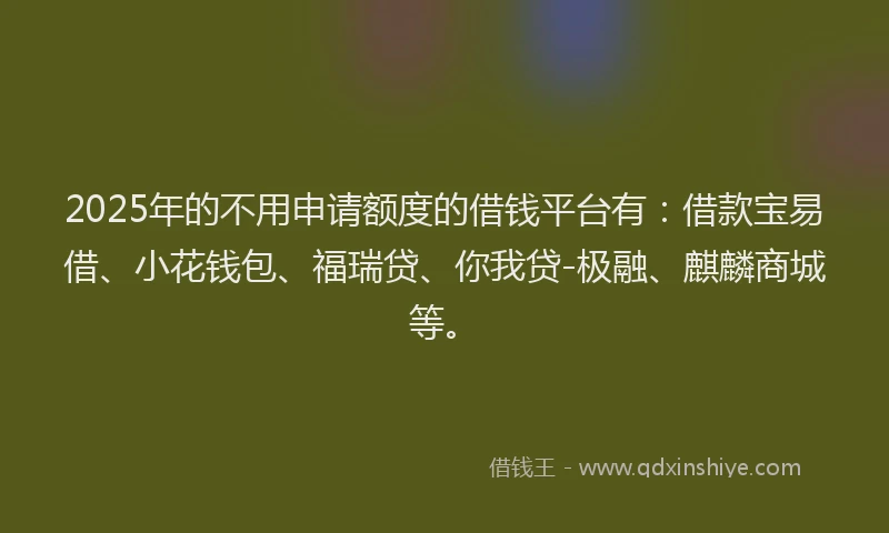 2025年的不用申请额度的借钱平台有：借款宝易借、小花钱包、福瑞贷、你我贷-极融、麒麟商城等。