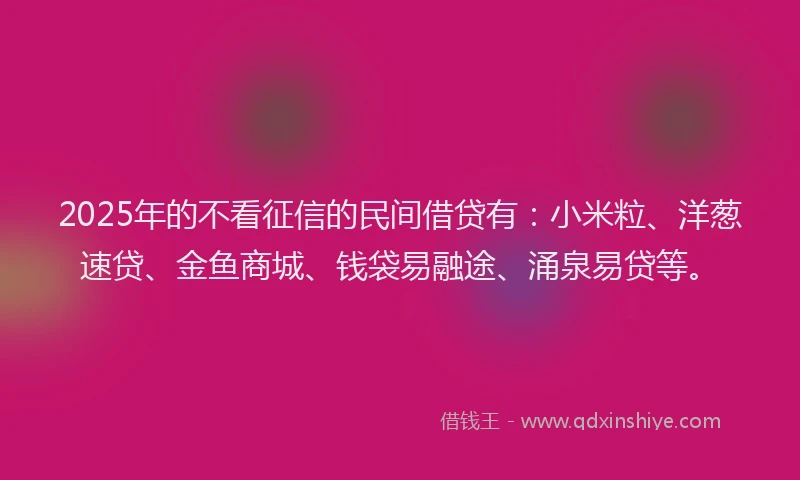 2025年的不看征信的民间借贷有：小米粒、洋葱速贷、金鱼商城、钱袋易融途、涌泉易贷等。
