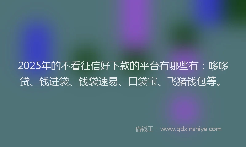 2025年的不看征信好下款的平台有哪些有：哆哆贷、钱进袋、钱袋速易、口袋宝、飞猪钱包等。