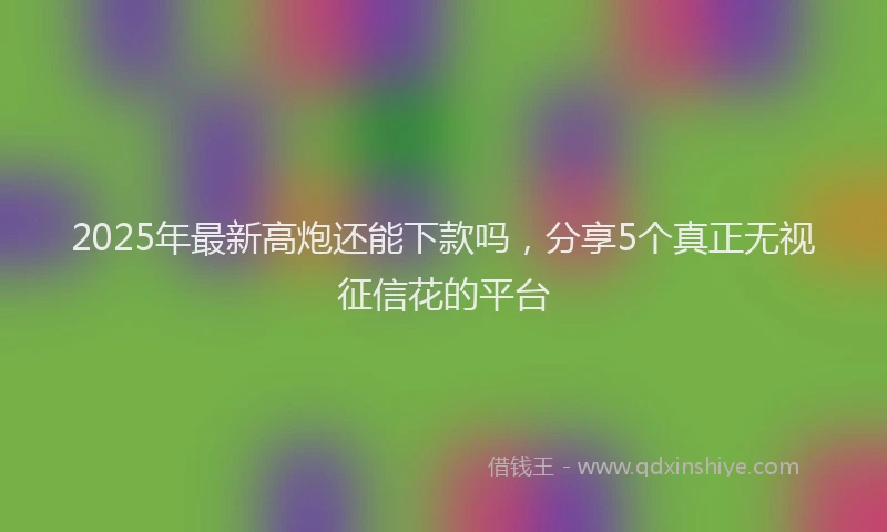 2025年最新高炮还能下款吗，分享5个真正无视征信花的平台