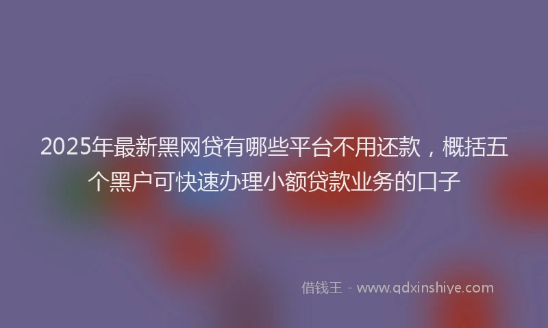 2025年最新黑网贷有哪些平台不用还款，概括五个黑户可快速办理小额贷款业务的口子