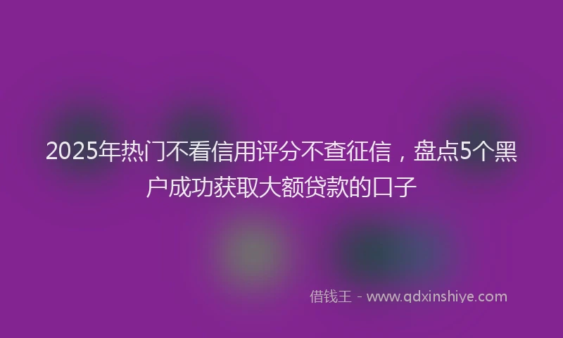 2025年热门不看信用评分不查征信，盘点5个黑户成功获取大额贷款的口子