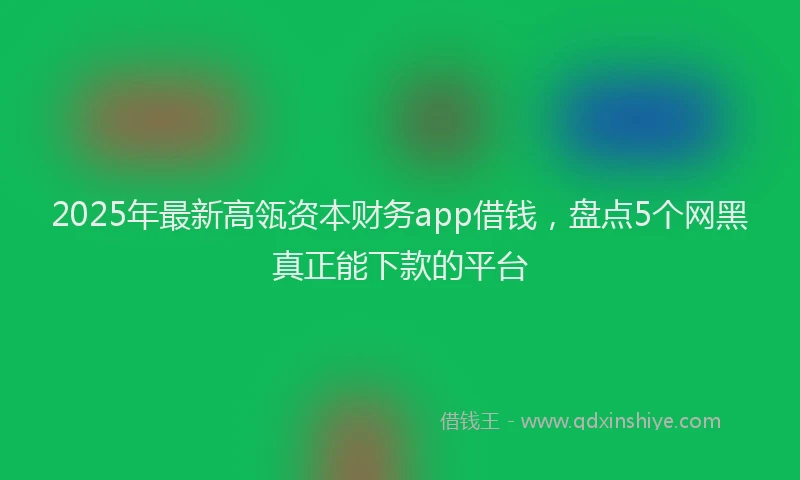 2025年最新高瓴资本财务app借钱，盘点5个网黑真正能下款的平台