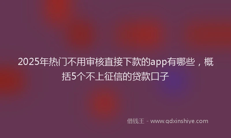 2025年热门不用审核直接下款的app有哪些，概括5个不上征信的贷款口子