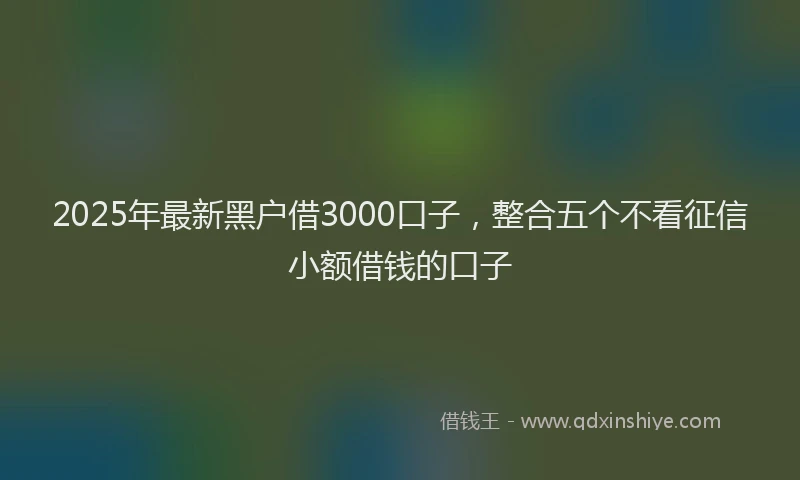 2025年最新黑户借3000口子，整合五个不看征信小额借钱的口子
