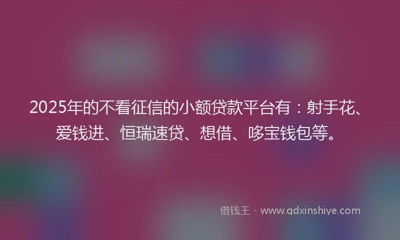 2025年的不看征信的小额贷款平台有：射手花、爱钱进、恒瑞速贷、想借、哆宝钱包等。