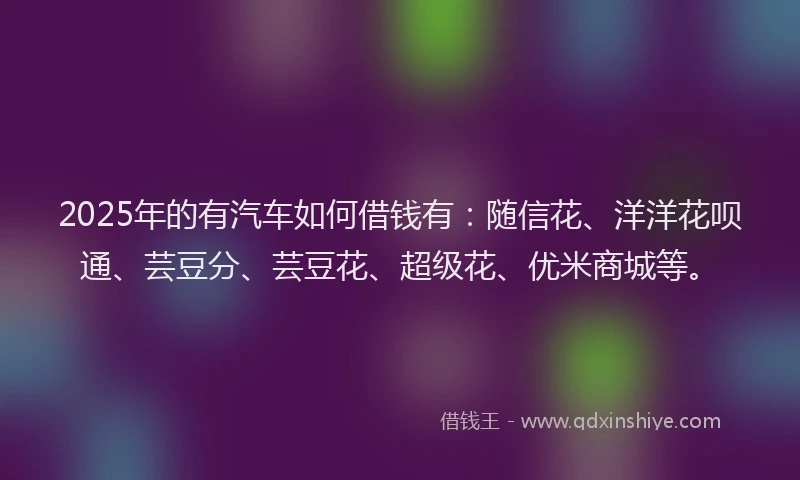 2025年的有汽车如何借钱有：随信花、洋洋花呗通、芸豆分、芸豆花、超级花、优米商城等。