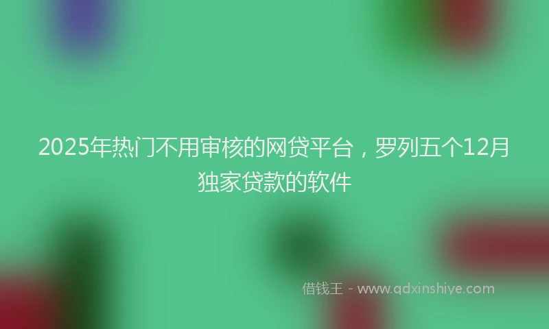 2025年热门不用审核的网贷平台,罗列五个12月独家贷款的软件