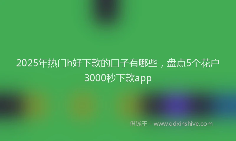 2025年热门h好下款的口子有哪些，盘点5个花户3000秒下款app