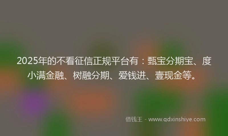 2025年的不看征信正规平台有：甄宝分期宝、度小满金融、树融分期、爱钱进、壹现金等。