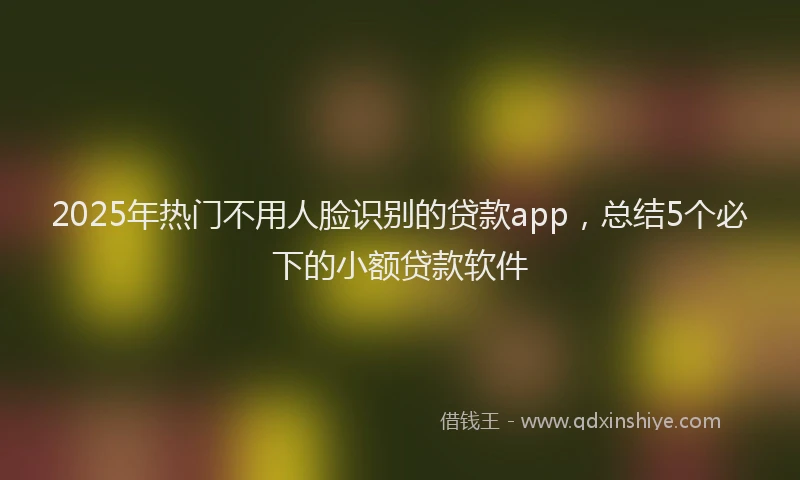 2025年热门不用人脸识别的贷款app，总结5个必下的小额贷款软件