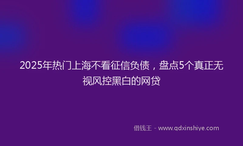 2025年热门上海不看征信负债，盘点5个真正无视风控黑白的网贷