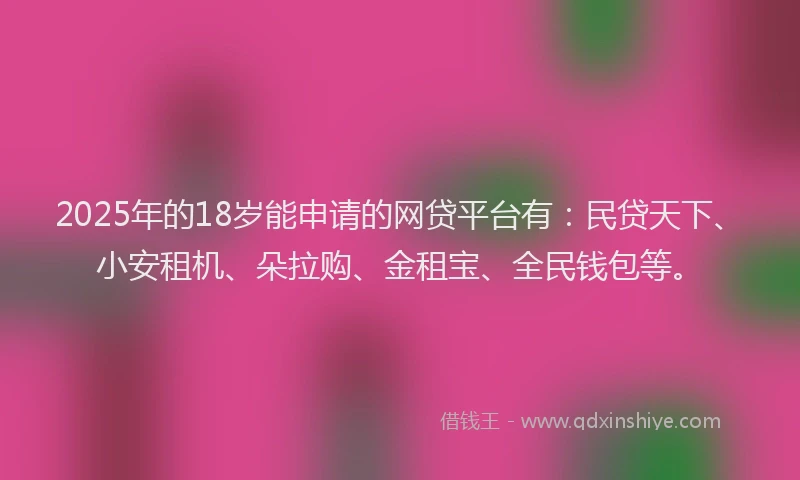 2025年的18岁能申请的网贷平台有：民贷天下、小安租机、朵拉购、金租宝、全民钱包等。