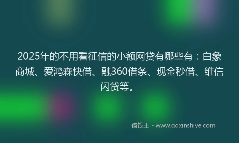 2025年的不用看征信的小额网贷有哪些有：白象商城、爱鸿森快借、融360借条、现金秒借、维信闪贷等。