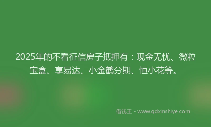 2025年的不看征信房子抵押有：现金无忧、微粒宝盒、享易达、小金鹤分期、恒小花等。