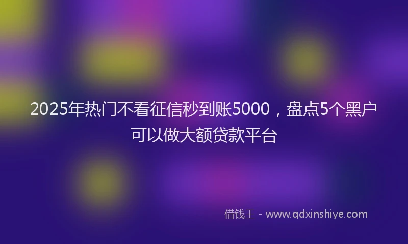 2025年热门不看征信秒到账5000，盘点5个黑户可以做大额贷款平台