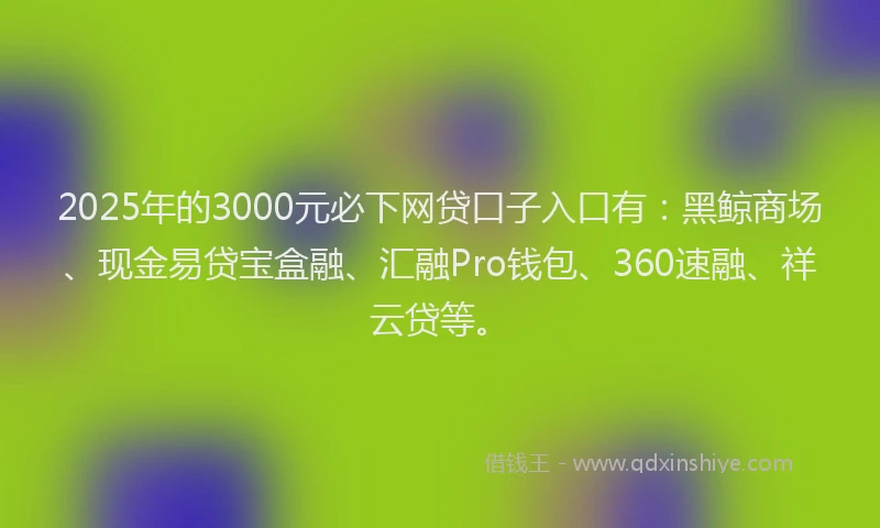 2025年的3000元必下网贷口子入口有：黑鲸商场、现金易贷宝盒融、汇融Pro钱包、360速融、祥云贷等。