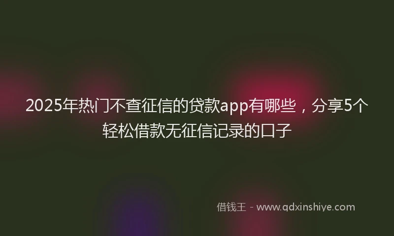 2025年热门不查征信的贷款app有哪些，分享5个轻松借款无征信记录的口子