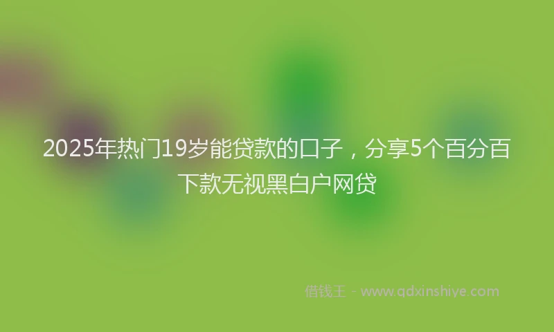 2025年热门19岁能贷款的口子，分享5个百分百下款无视黑白户网贷
